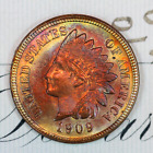 * 1909-P * SUPERB+ GEM BU MS INDIAN HEAD PENNY * FROM ORIGINAL COLLECTION