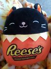 Squishmallows Colton the Cat Reese’s 8” Plush W/ Tags 2021 Halloween