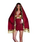 Sexy Dreamgirl Bolly Ho Bollywood Halloween Costume Adult Small