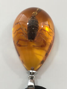 Real Scorpion Necklace in Fake Amber Taxidermy Jewelry