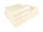 Turkish Bamboo Luxury Towel Set of 4 in Gift Box. (Lavore)