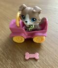 Littlest Pet Shop LPS Authentic #67 Collie Dog Blue Eyes with accessories