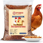 Hatortempt 10Lbs Non-Gmo Bulk Dried Mealworms - Premium Organic Chicken Feed, Nu