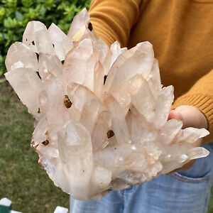 5.48LB Natural Clear Quartz Chakra Reiki Crystal Cluster Gemstone Specimen