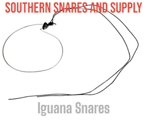 Southern Snares Iguana Snare Trap Loaded for Speed Iguana Snares Survival Snares