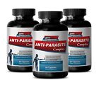 Eliminate Parasite - Anti Parasite Complex 1485mg - Colon Cleanse Detox Pills 3B
