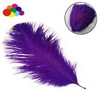 30 color Ostrich feathers 15-20 cm decoration starry wedding mask handmade DIY
