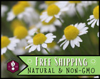 19,400+ Chamomile Seeds [German] Heirloom, Flower & Herb Pollinator Gardening
