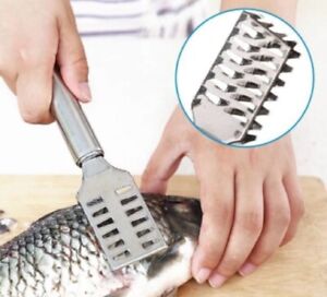 Stainless Steel Fish Scaler Brush - Efficient Scales Scraper, Skin Remover Tool