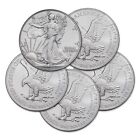 Lot of 5 - 2024 1 oz Silver American Eagle $1 Coin BU