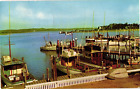 Marina Fishing Boats Montauk Point Long Island NY Postcard c1954