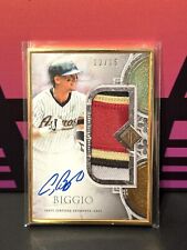2023 Topps Baseball Transcendent Craig Biggio Framed Collection Patch Auto 12/15