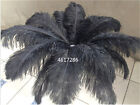 10-100pcs 16 colors ostrich feathers 6-30inch/15-75cm carnival Diy costume mask