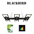 HLG BlackBird LED Grow Light Panel Full Spectrum Lamp for Indoor Plants