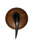 Authentic Bison Buffalo Horn Cap Display Wall Piece