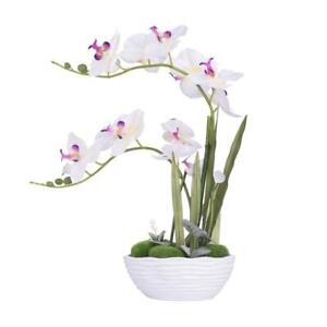 YSZL Large Artificial Potted Orchid Plant, Silk Flower Arrangement with Ceram...