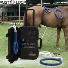 PEMF Magna Wave Equine Magnetic Therapy PMST Loop Help Horses Alleviate Soreness