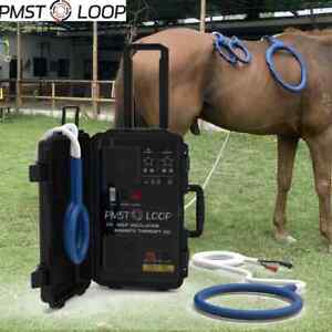 PEMF Magna Wave Equine Magnetic Therapy PMST Loop Help Horses Alleviate Soreness