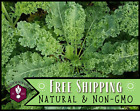 2,500+ Kale Seeds [Vates Blue Scotch] Vegetable Gardening, Heirloom, Non-GMO