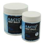 Bacto Reef Balls (100 ml) - Live Reef Bacteria - Fauna Marin