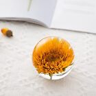 Crystal Ball with Preserved Flower3.1 Inch Super Clear Sphere for Living Room...