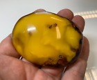 Masive Old natural baltic amber stone brooch  51.5gr.