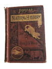 RARE 1880's  Antique Book  Popular Natural History / Rev. JG Wood Illustrated