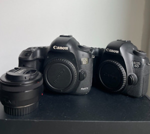 Canon eos 5D Mark III + Canon eos 6D Kit w/ 50mm