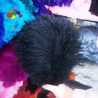 15 Color 5 Pcs Ostrich Feathers 22-24Inch/55-60Cm DIY Wedding Plumes Centerpiece