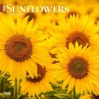 Browntrout,  Sunflowers 2024 Wall Calendar