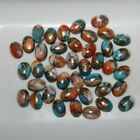 Spiny Oyster Copper Turquoise 7x5mm Cabochon Oval Loose Gemstone(s)