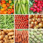 #8 Heirloom Vegetable Seeds 6 Variety Garden Set Emergency Survival NON-GMO 150+