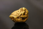 Large Natural Gold Nugget weighing 77.8g, Found in Moosehorn Creek Yukon Alaska