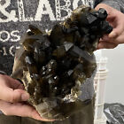 6.01LB Natural Rare Beautiful Black QUARTZ Crystal Cluster Mineral Specimen