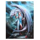 PT Pacific Trading Anne Stokes Dragon Mage Canvas Art Print