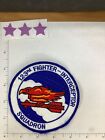 USAF  F-4 123RD FIGHTER INTERCEPTOR SQUADRON PATCH