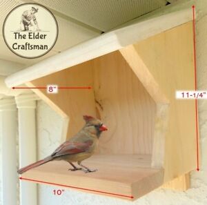 Cardinal/Robin Nest Shelf