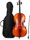 Eastman VC100 Samuel Eastman Student Cello Outfit - 1/2 Size