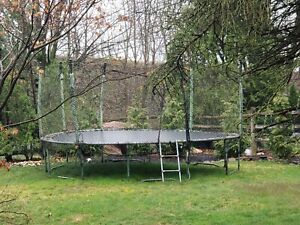 Trampoline 15ft Cheap local pickup in Allentown, PA only