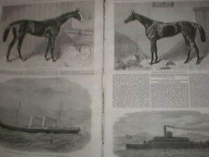 Race horses Fille De L'Air and Blair Athol Oaks and Derby winners 1864 prints