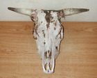 REAL BULL SKULL AND HORNS MOUNT DECOR MAN CAVE TAXIDERMY