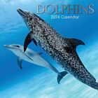 2024 Square Wall Calendar, Dolphins, 16-Month Animals Theme 180 Stickers 12x12