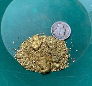 Gold Paydirt 8 lbs Unsearched Guaranteed Gold Panning Pay Dirt Gold Nuggets Bag