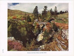 Falls of Bruar near Blair Atholl Vintage Picture Colour Print 1954 THIC#21