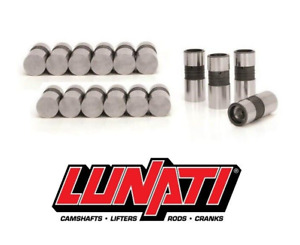 Lunati 71817PR-16 Lifter Set Hydraulic Flat Tappet .842