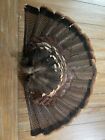 Wild Eastern Turkey Tail Fan Feathers Rustic Cabin Decor Decoy Taxidermy