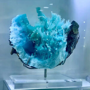 13.2LB Natural beautiful blue texture stone mineral sample quartz crystal gift