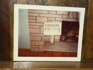 Found Color Snapshot-Cockers (Spaniel) for sale sign.