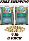 Pennington Select Safflower Seed, Wild Bird Feed and Seed, 7 lb. Bag 2 PACK