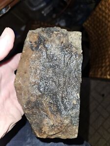 Slabbed Quartzite 1.88lb